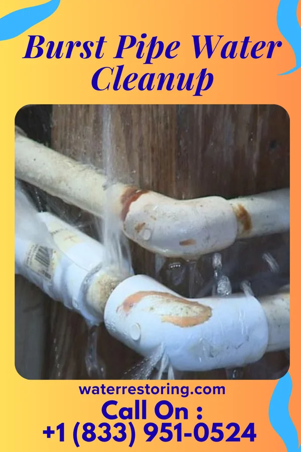 Burst Pipe Water Cleanup in Mount Airy, GA