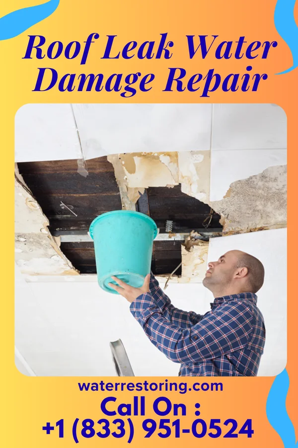 Roof Leak Water Damage Repair in Mount Airy, GA