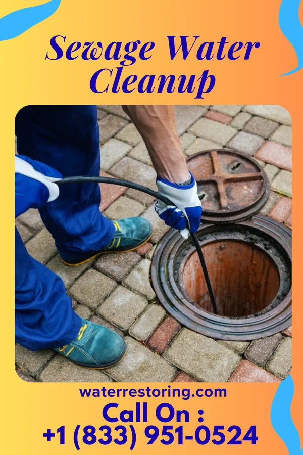 Sewage Water Cleanup in Mount Airy, GA